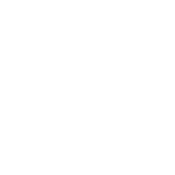 ce logo New Orleans