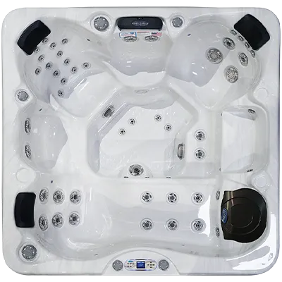 Avalon EC-849L hot tubs for sale in New Orleans